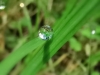 赤峰 红山  4000㎡ 价格面议